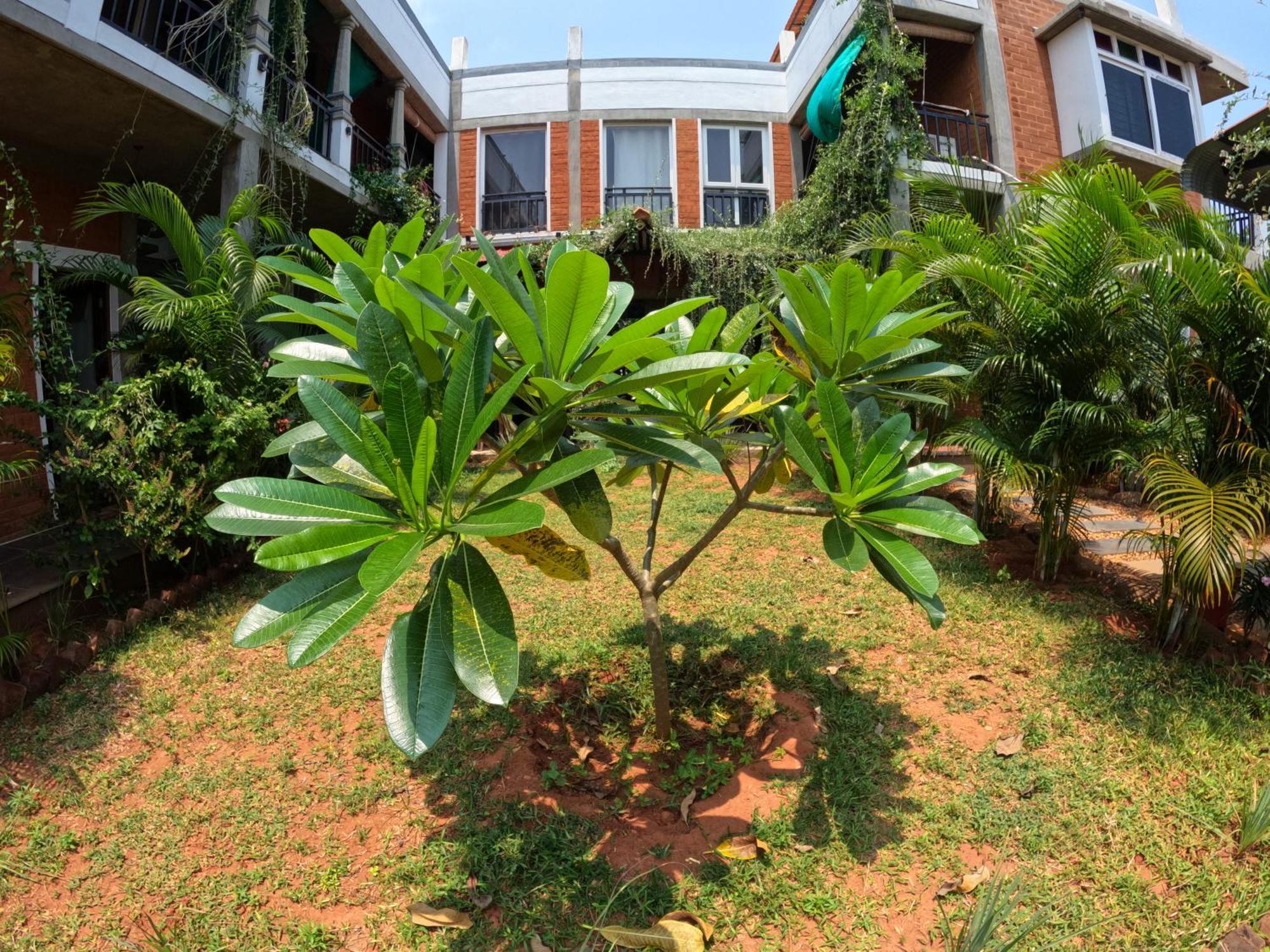 Wow Farm House Auroville Exterior foto